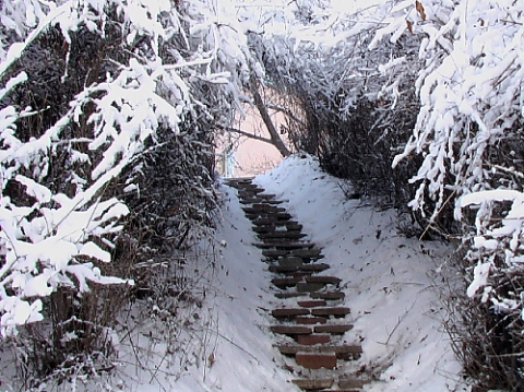 雪中小路 摄影 大沟知青