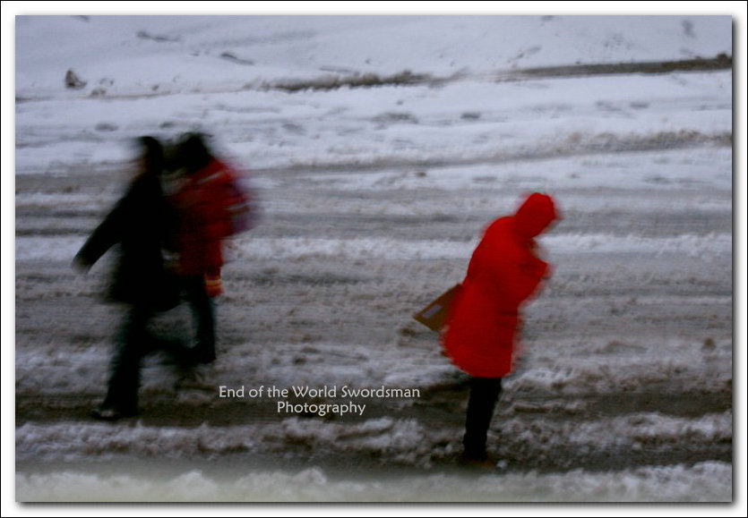 2011年第一场雪 摄影 天涯刀客110