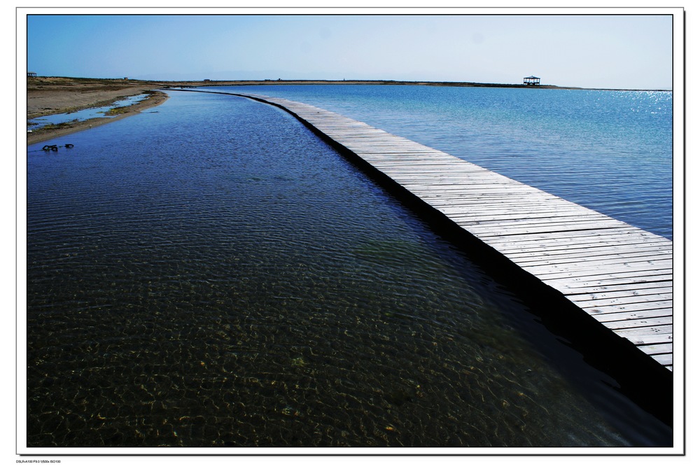 青海湖 摄影 淡淡清茶