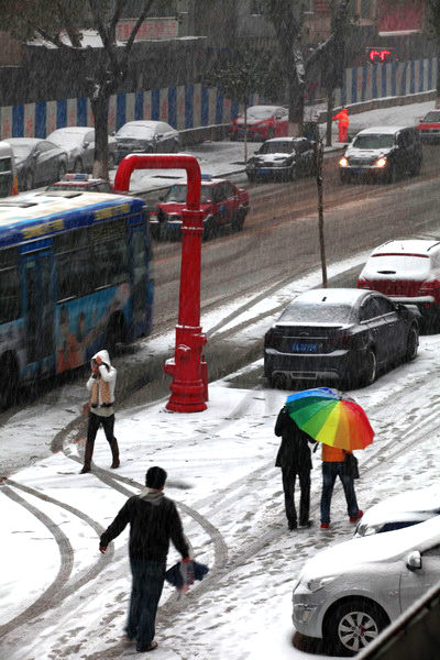 2011年11月18日冬天里的第一场雪 摄影 多久多远