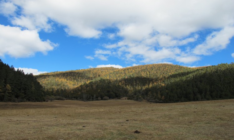 香格里拉高山草原 摄影 童心追梦