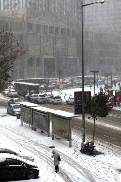 2011年11月18日冬天里的第一场雪 摄影 多久多远