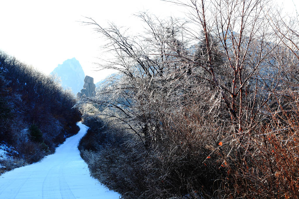 初雪 摄影 湛思