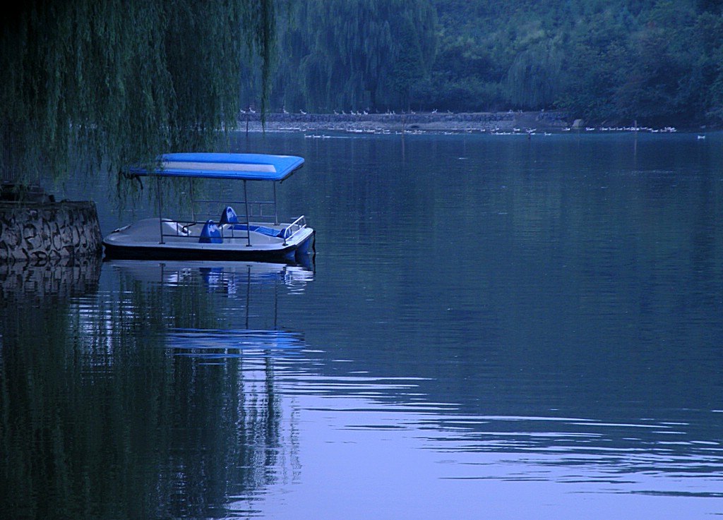 宁静的湖畔 摄影 盛夏明月