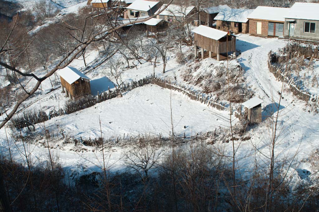 雪掩山村 摄影 天上草原