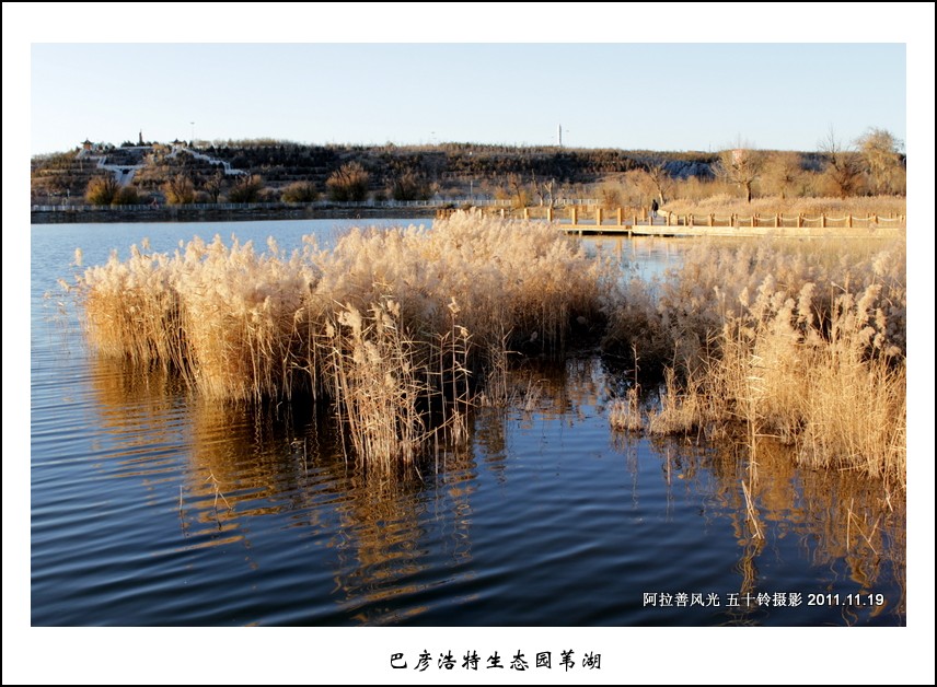 巴彦浩特生态园苇湖 摄影 五十铃