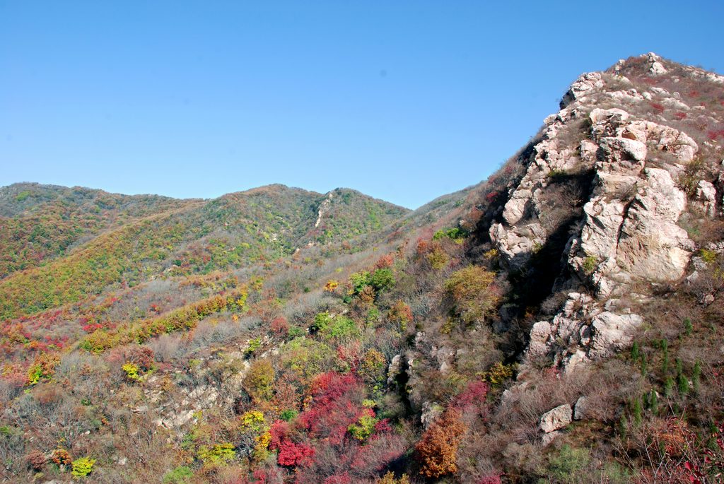 层林尽染 摄影 鹤声