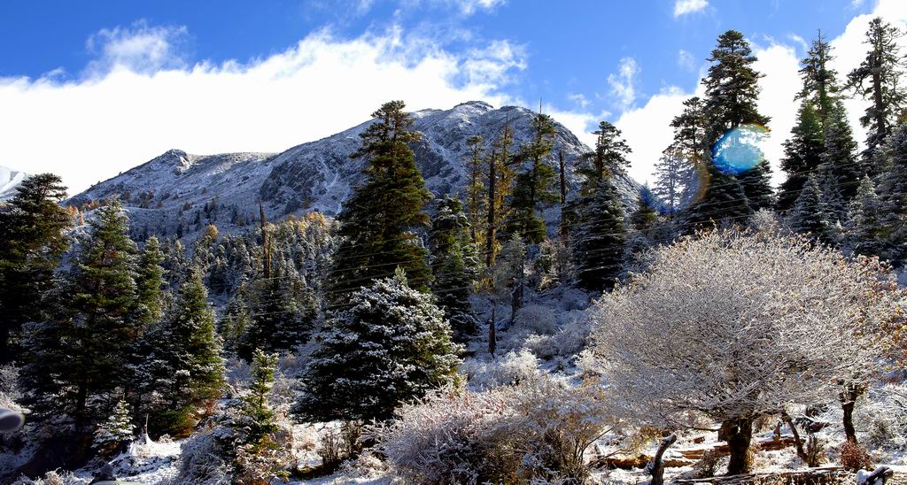 基丑山初雪 摄影 色胆犹存