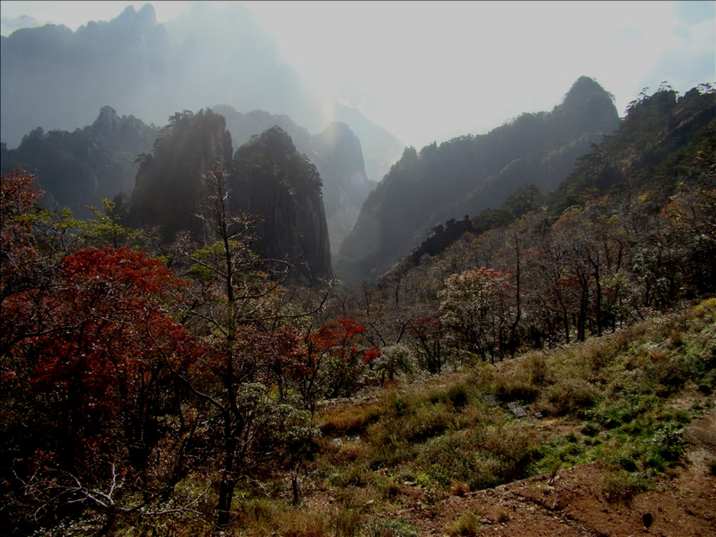 黄山雾景 摄影 ada6