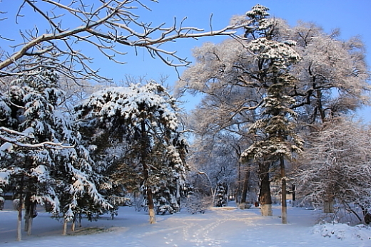 浩然冰雪 摄影 大沟知青