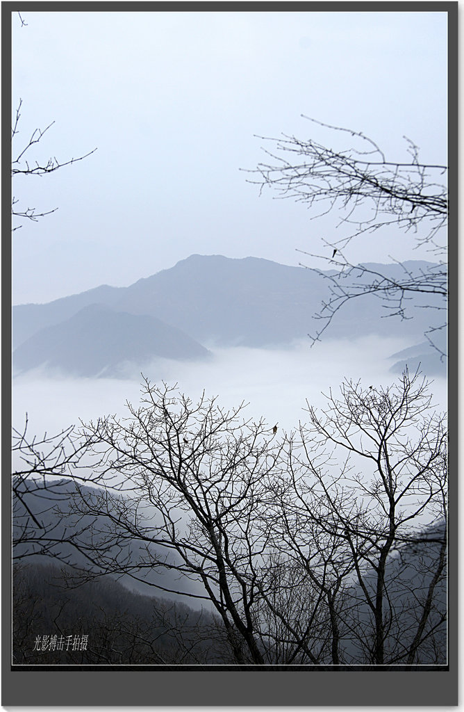 秦岭印象~14~流峪云海 摄影 搏击光影手