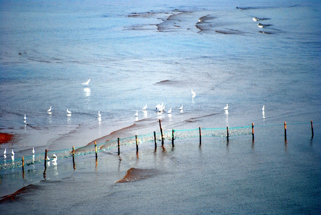 海风轻轻吹 摄影 彼岸的风景