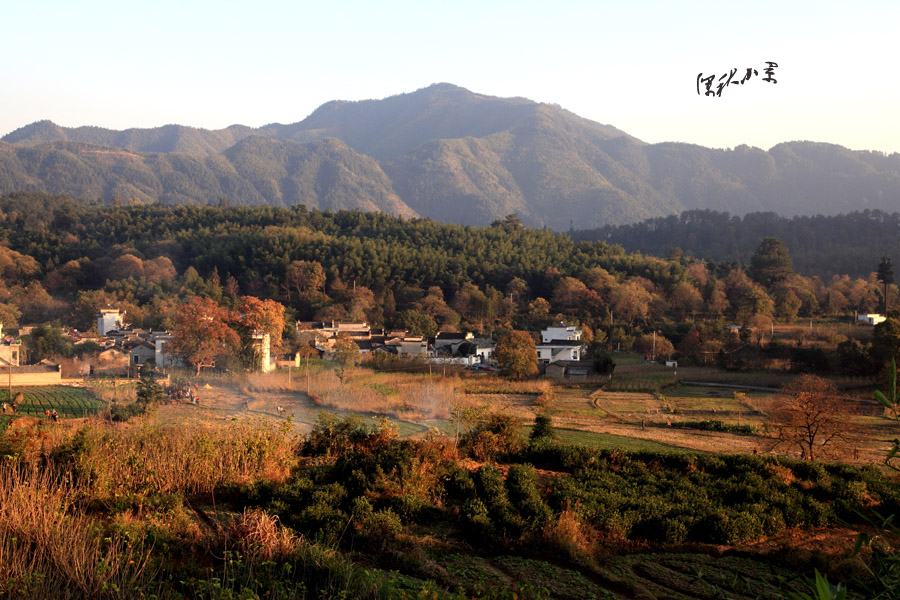 深秋小景 摄影 蝉鸣