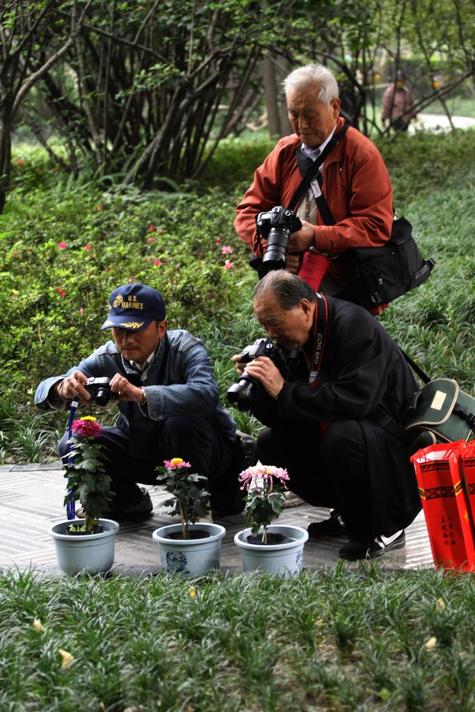 乐趣 摄影 谈谈故事