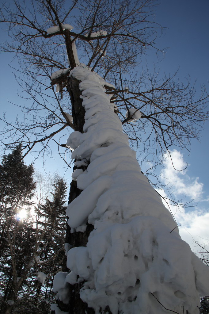 雪乡景致 摄影 otot杰