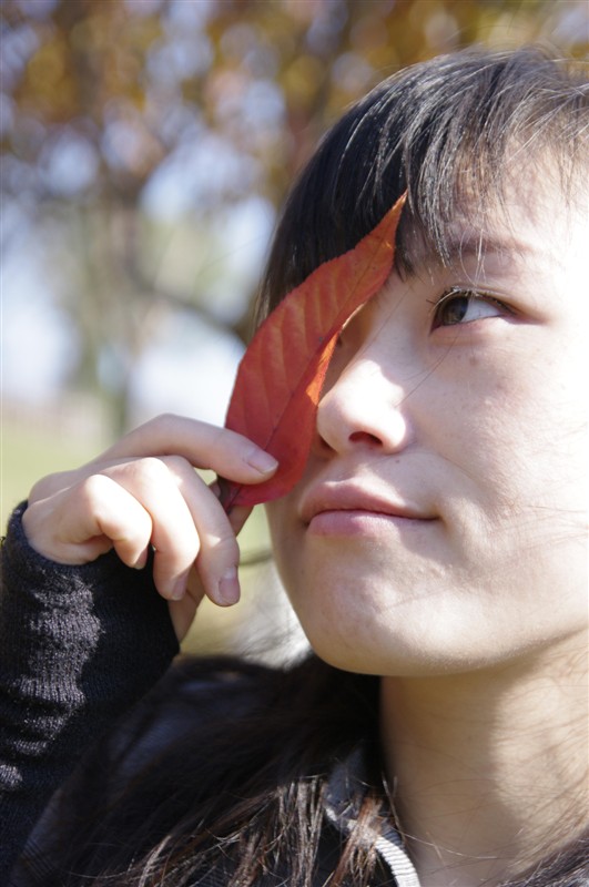 最后一片叶 摄影 凹凸人生