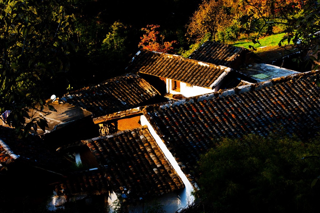 农家小院好景色 摄影 青花椒