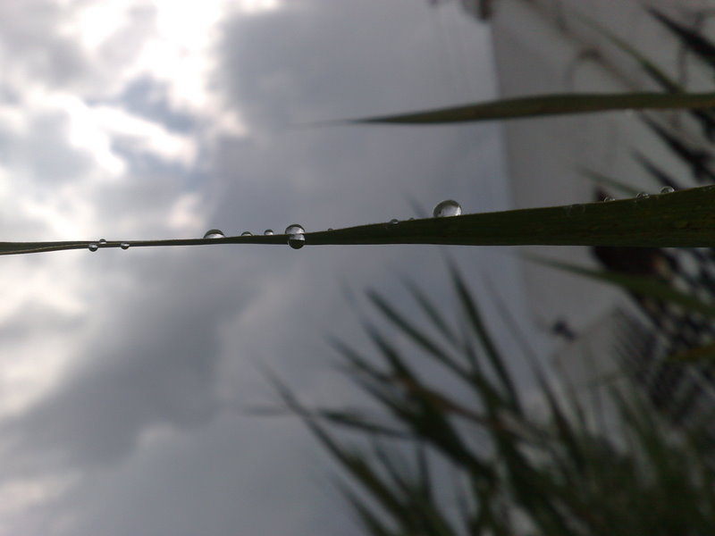 雨后 摄影 能闻能捂