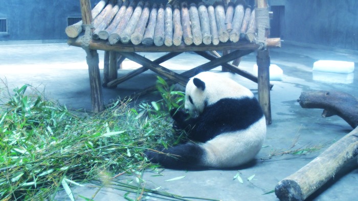 寂寞无奈 摄影 童心追梦