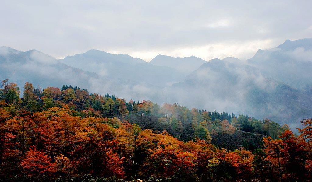 故乡秋韵35——翠屏山 摄影 关河纤夫