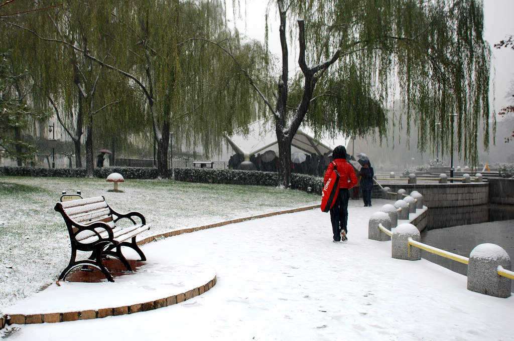 初雪 摄影 罗萨0417