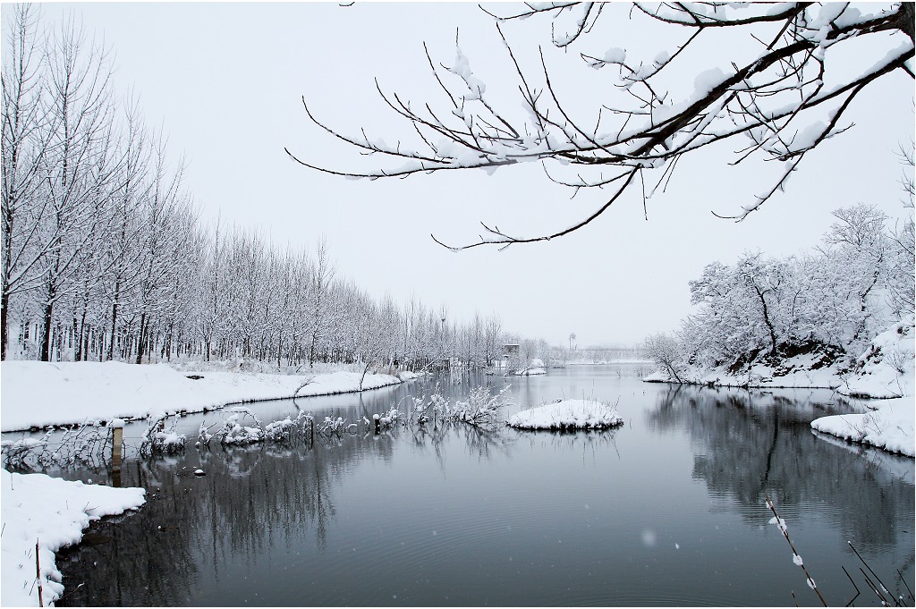 雪意 摄影 米乐