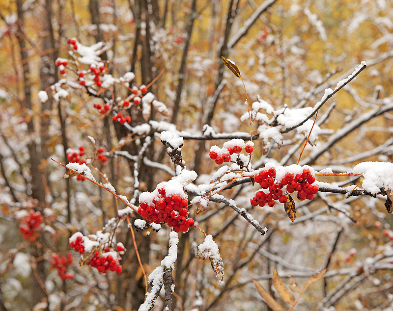 傲雪 摄影 峡谷