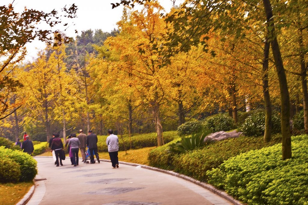 秋景(9)(点击看大图) 摄影 侗家山妹