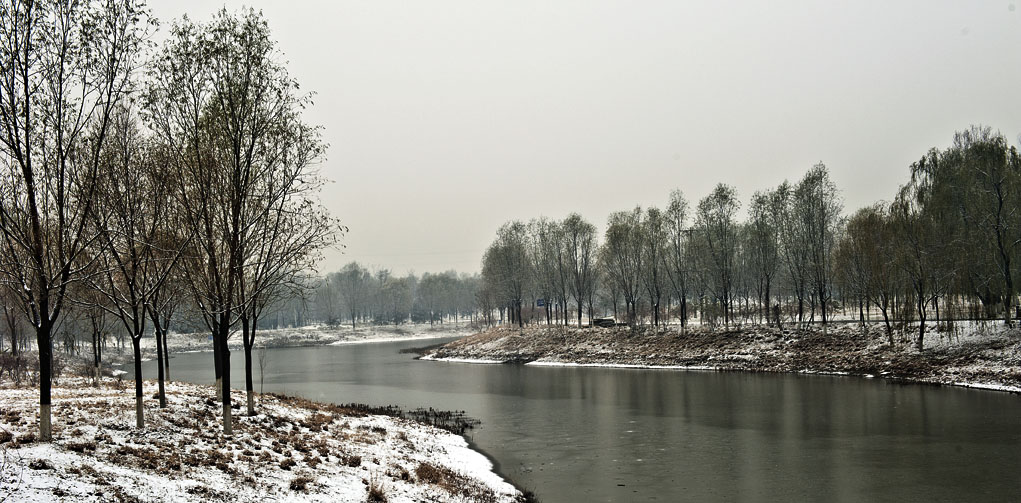 雪后秋色 摄影 清风皓月