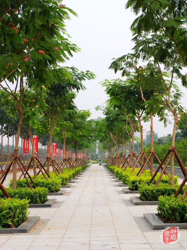 东丽绿景 摄影 静趣斋