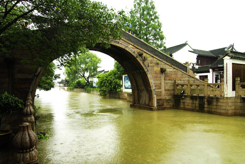 雨中康桥 摄影 天上草原