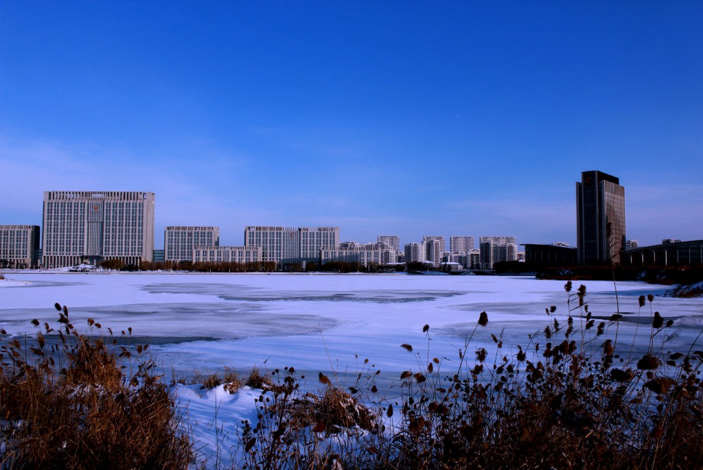 沈阳铁岭新城区雪景 摄影 朱皓麟