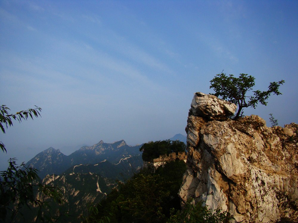 生命力 摄影 龙在云中