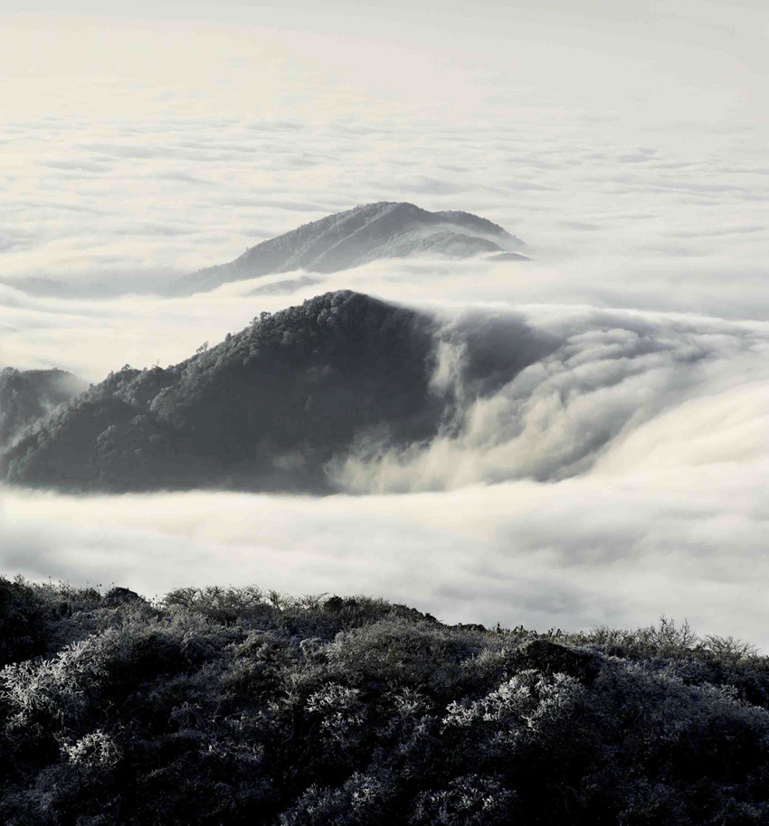 雷公山云瀑 摄影 地上云