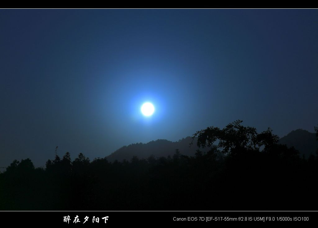 醉在夕阳下 摄影 广东梁少