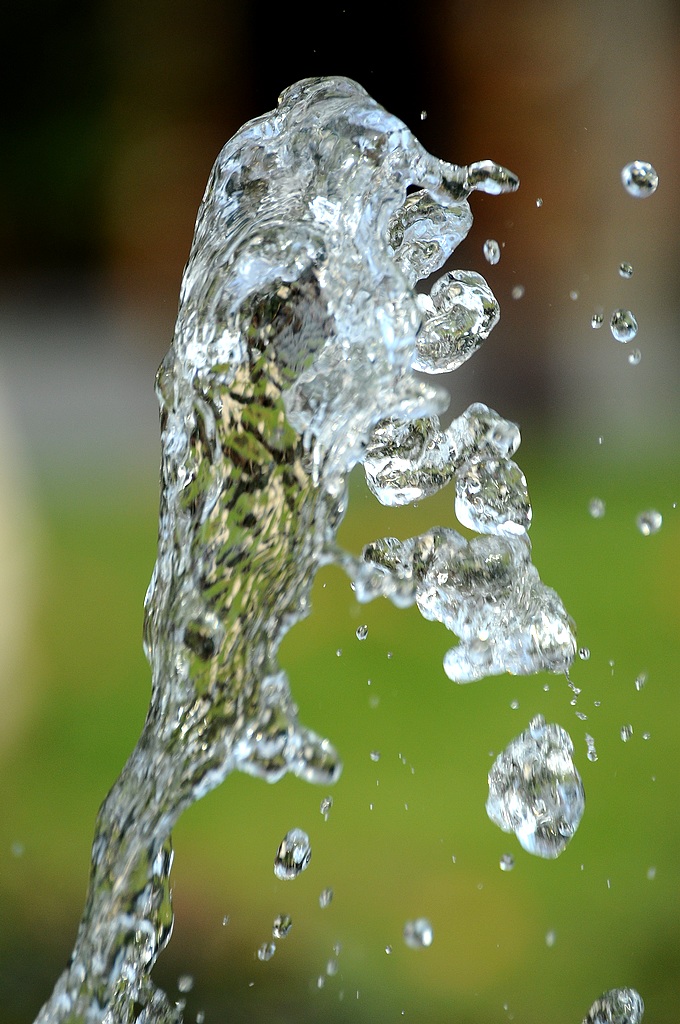 水牛 摄影 阳光灿烂中