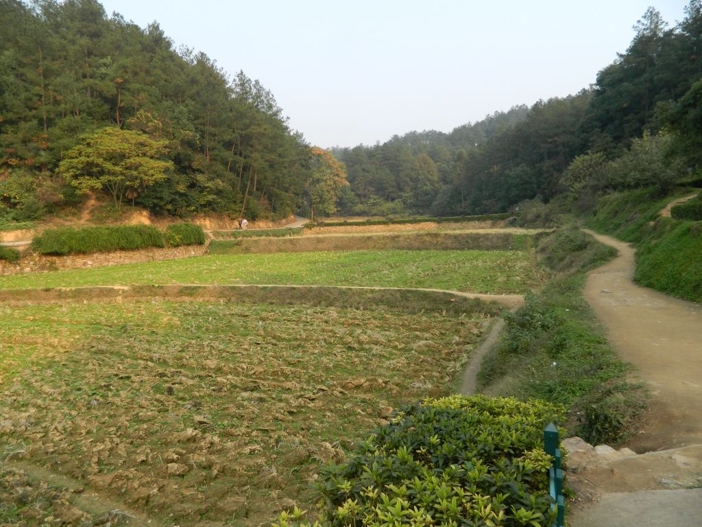 主席家田 摄影 风物长宜