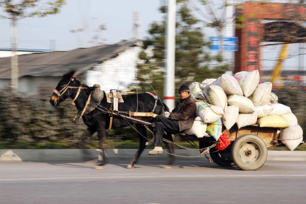 运粮车 摄影 爱光影EOS