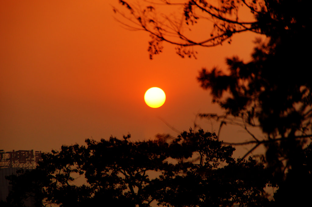 秋色金黄 夕阳灿烂  武汉蛇山首义公园采风（9） 摄影 haihongsy