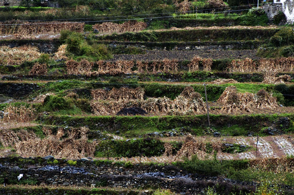 党岭风景 摄影 georgel