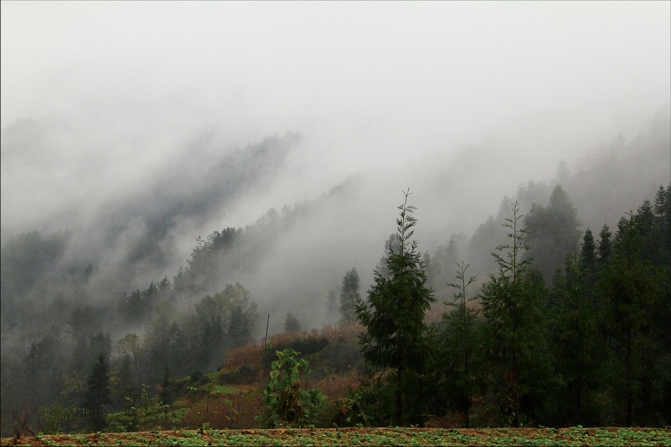 雾锁光雾山 摄影 兰竹梅