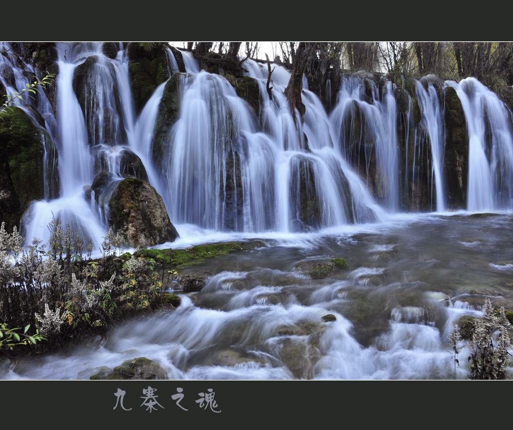 九寨之魂 摄影 雨中的承诺