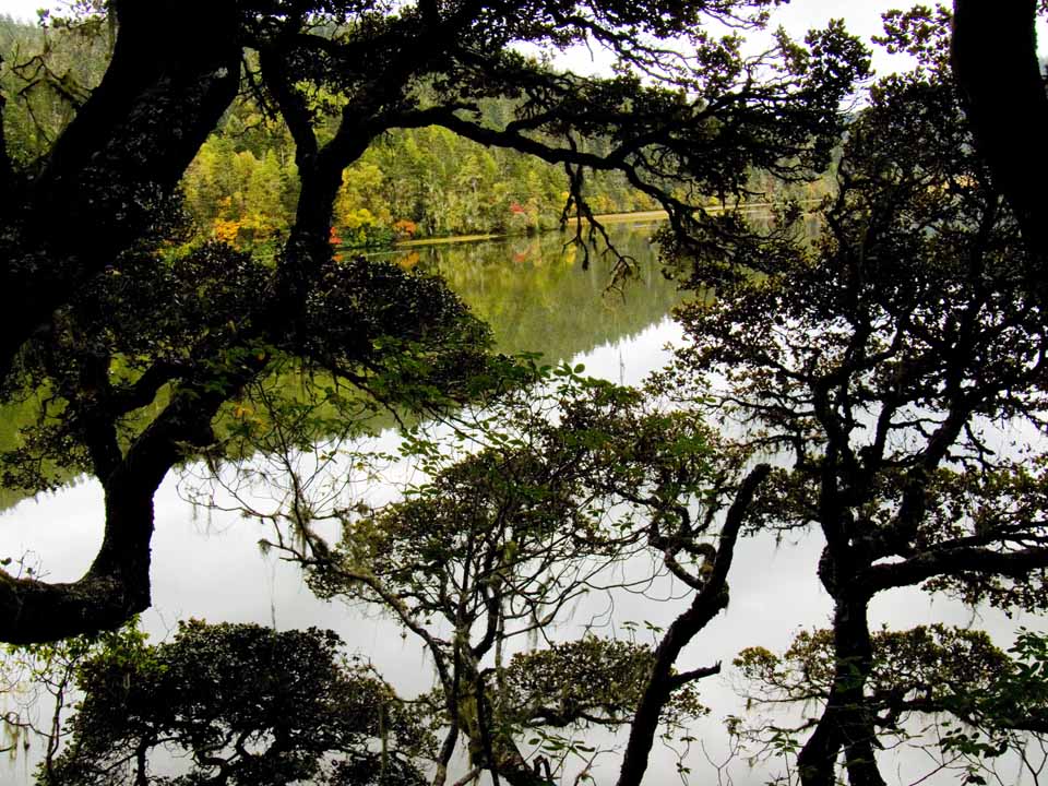 香格里拉、普达措、属都湖 摄影 千里天水一色