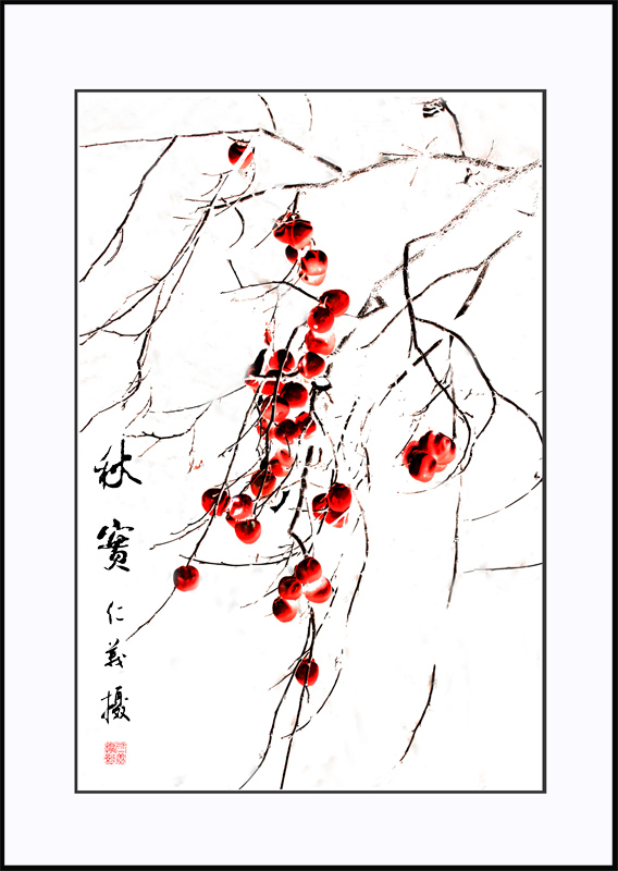 秋实 摄影 大光圈儿