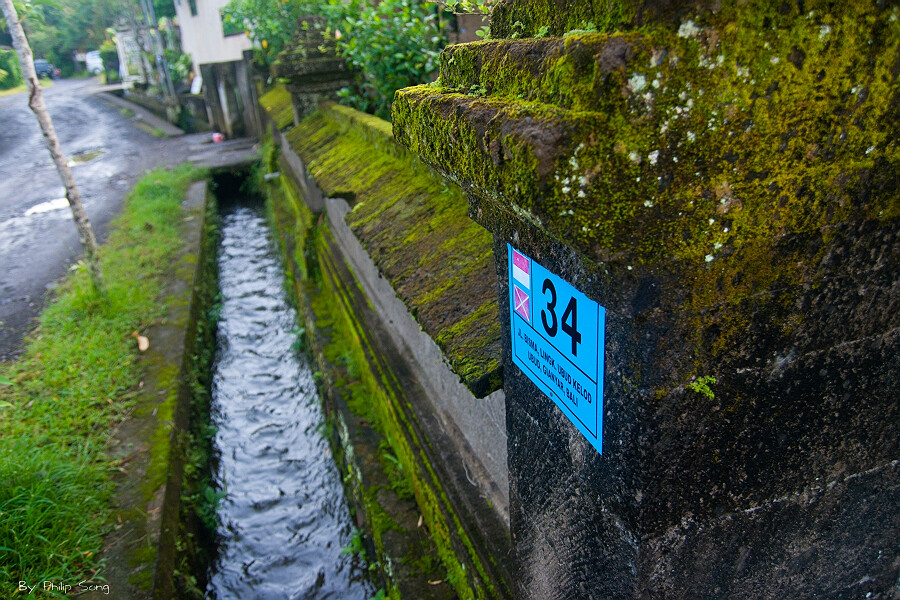 巴厘岛田园街景 摄影 金钩船长