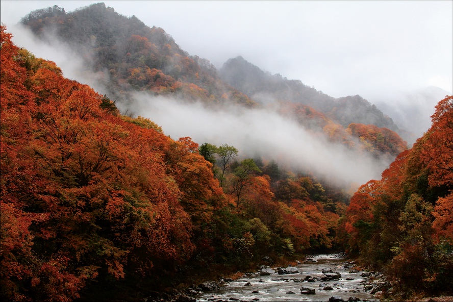 曼妙光雾山 摄影 兰竹梅