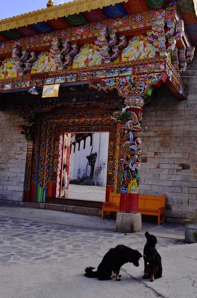 稻城——贡嘎朗吉岭寺 摄影 千里天水一色