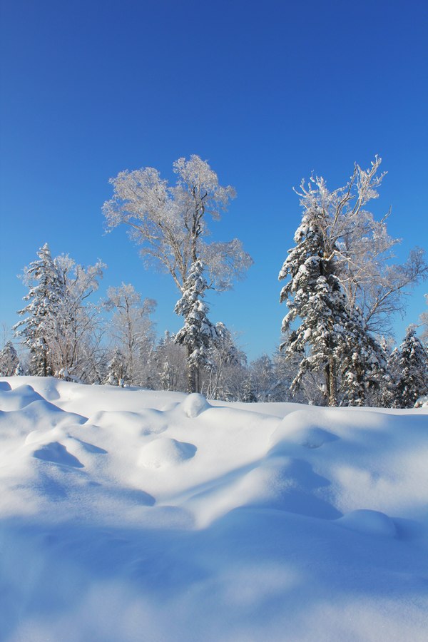 林海雪原 摄影 龙在云中