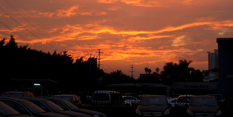 夕阳红 摄影 陆上行