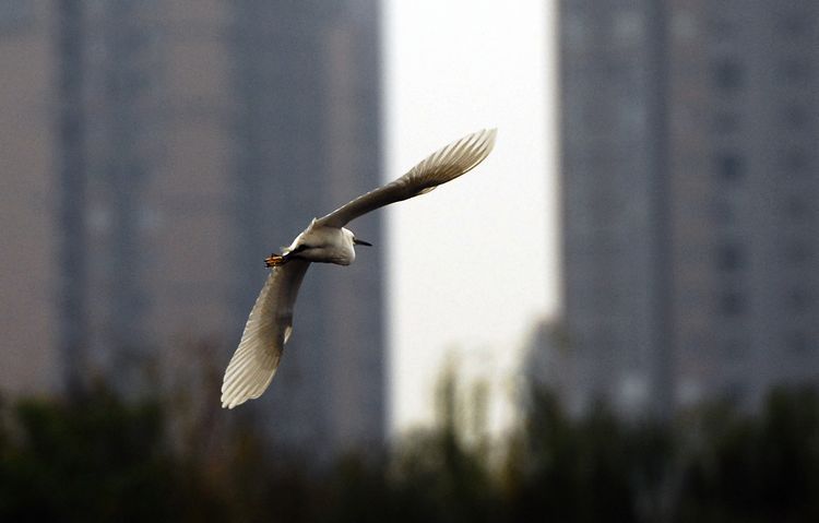 城外 摄影 成都文石